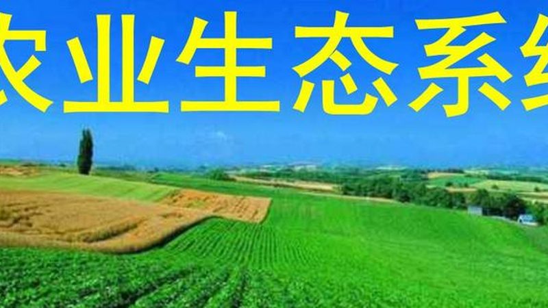 智慧农业监控系统如何选择：关键要素与误区解析