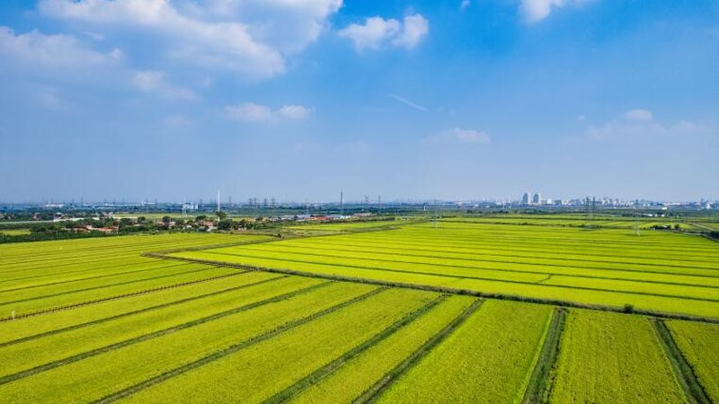 合作社补贴申请时间：关键节点与注意事项
