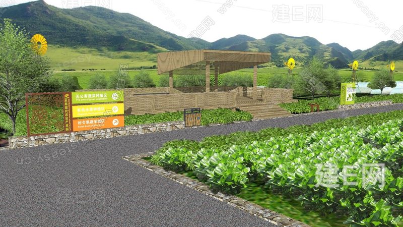 农业合作社联合社贷款，助力乡村振兴的金融“活水