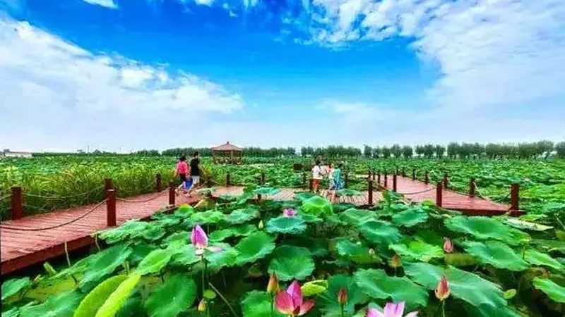 广东休闲农业政府补贴政策解读：如何抓住发展机遇