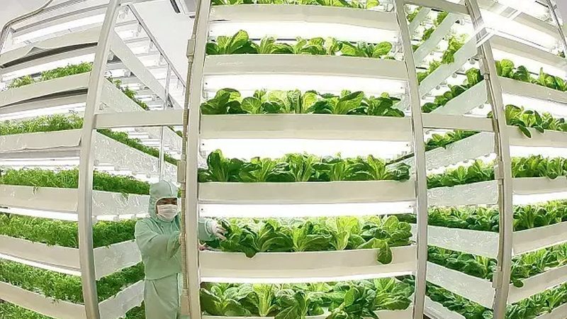智慧农业种植系统：开启精准农业新时代