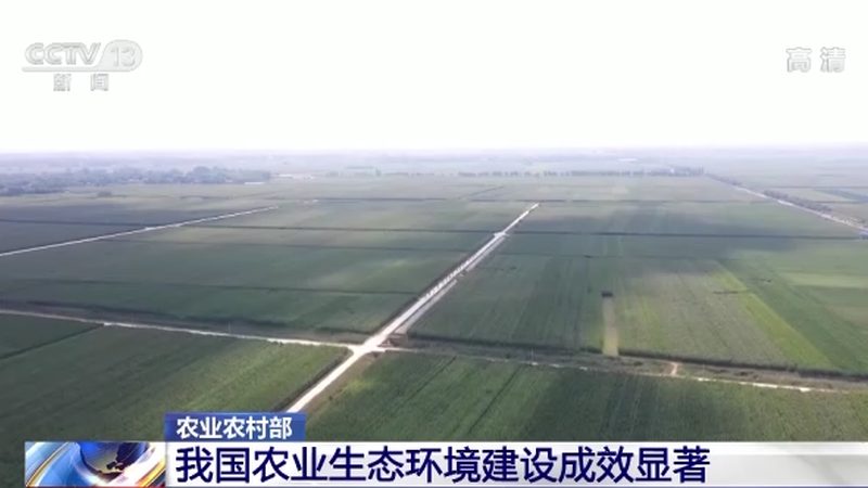 单位食堂果蔬配送：区域覆盖与可持续发展**