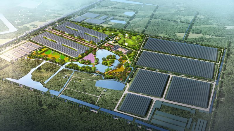 水果种植龙头企业的崛起与启示