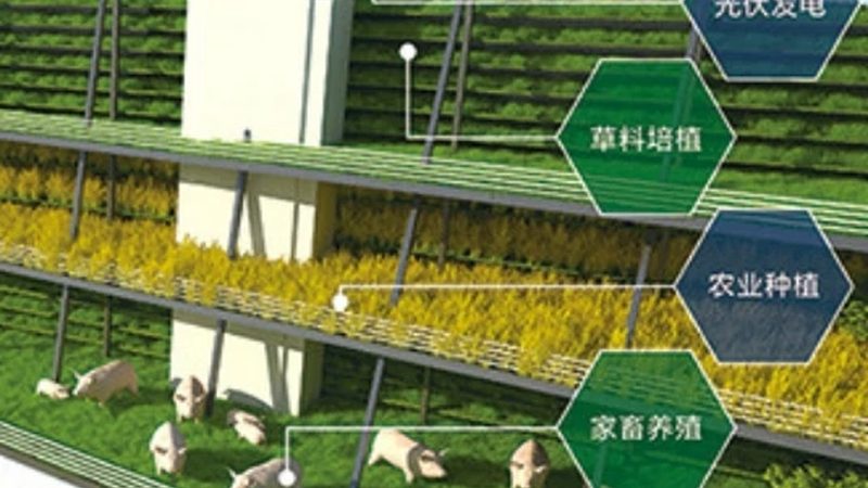 选择果蔬配送供应商时，首先要关注其品质保障。优质供应商应具备以下特点：