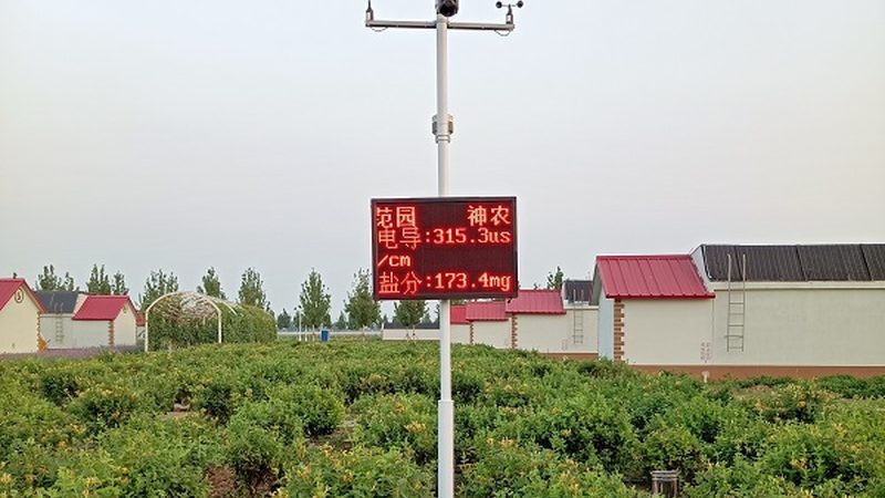 山东农业种植技术服务：提升亩产的关键因素