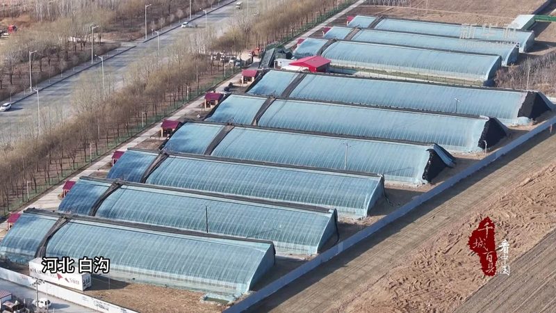 温室保温被厚度如何选择？标准解析**