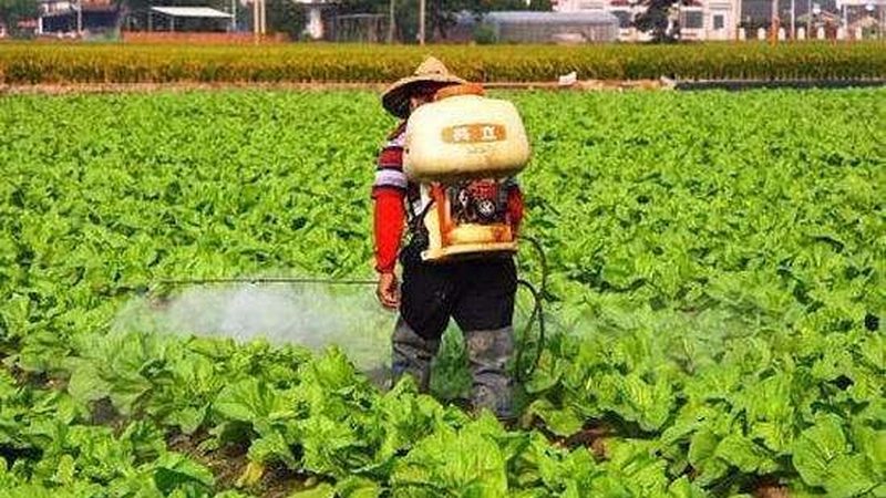 生态农业投资，成本考量何其重要？**