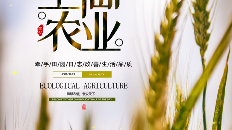 农资批发市场进货渠道探秘：如何找到优质货源